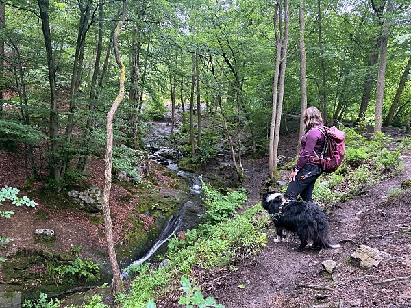 Zwischen Schluchten, Wäldern und historischen Städten: So schön ist die Wallonie 19 Wandern in der Wallonie Ninglinspo Wanderung