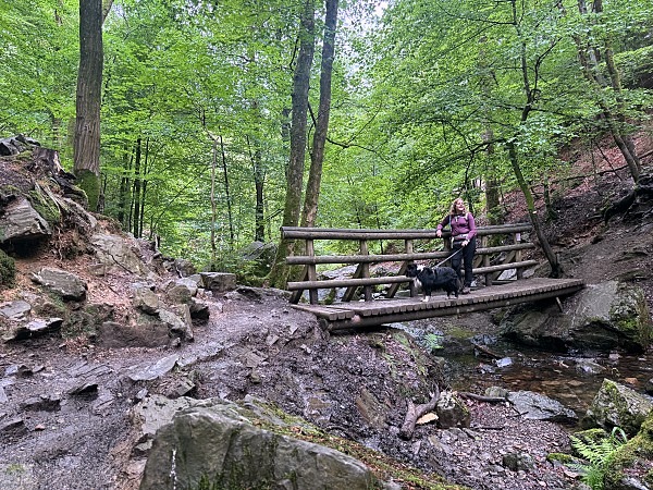 Zwischen Schluchten, Wäldern und historischen Städten: So schön ist die Wallonie 20 Wandern in der Wallonie Ninglinspo Wanderung