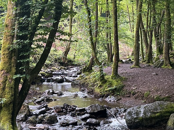 Zwischen Schluchten, Wäldern und historischen Städten: So schön ist die Wallonie 15 Wandern in der Wallonie Ninglinspo Wanderung