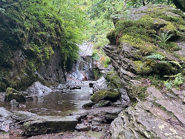 Zwischen Schluchten, Wäldern und historischen Städten: So schön ist die Wallonie 16 Wandern in der Wallonie Ninglinspo Wanderung