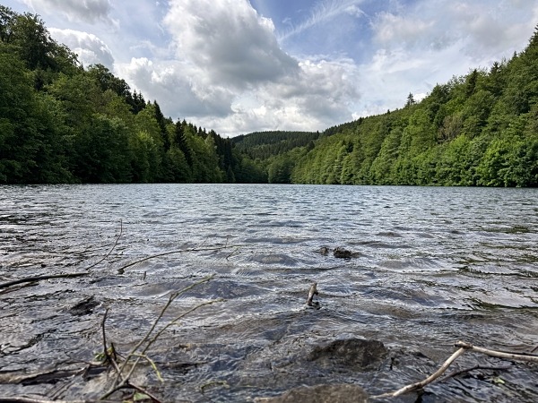 Urlaub mit Hund im Sauerland: 3 Wanderungen und hundefreundliche Unterkünfte 23 Schmalahtalrundweg Wandern mit Hund im Sauerland