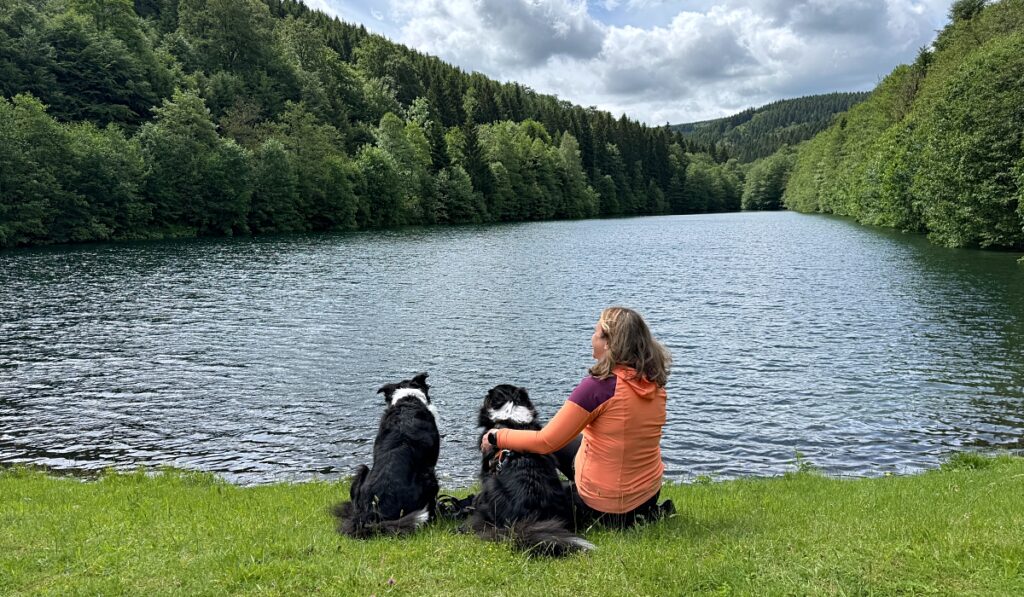 Urlaub mit Hund im Sauerland: 3 Wanderungen und hundefreundliche Unterkünfte 22 Schmalahtalrundweg Wandern mit Hund im Sauerland