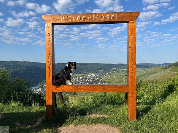 Moselsteig mit Hund: Fünf Wandertage rund um Wolf an der Mosel 30 Bilderrahmen Kröv Etappe 12 Moselsteig mit Hund