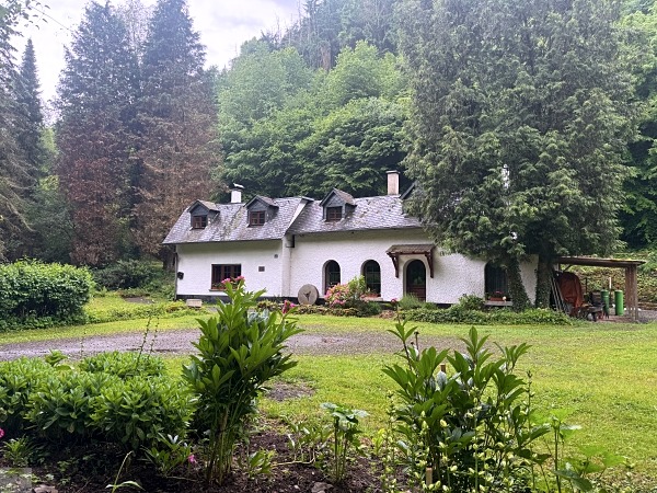 Moselsteig mit Hund: Fünf Wandertage rund um Wolf an der Mosel 56 Borjer Ortsbachpädche Wandern Baybachtal mit Hund