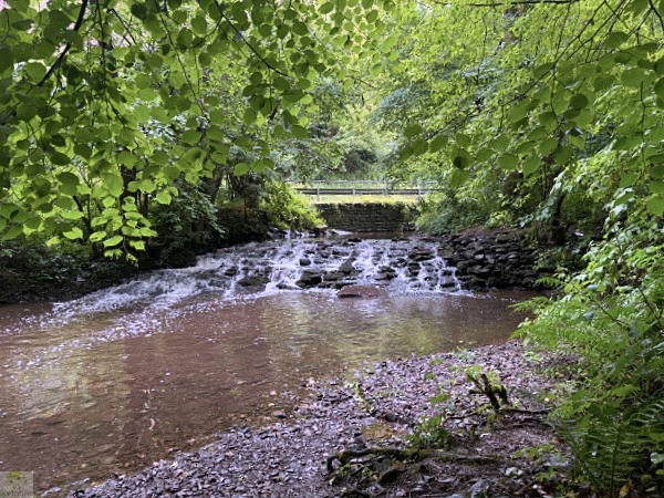 Moselsteig mit Hund: Fünf Wandertage rund um Wolf an der Mosel 53 Borjer Ortsbachpädche Wandern Baybachtal mit Hund