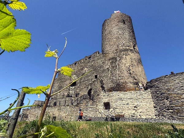 Moselsteig mit Hund: Fünf Wandertage rund um Wolf an der Mosel 46 Bernkastel-Kues Altstadt Moselsteig