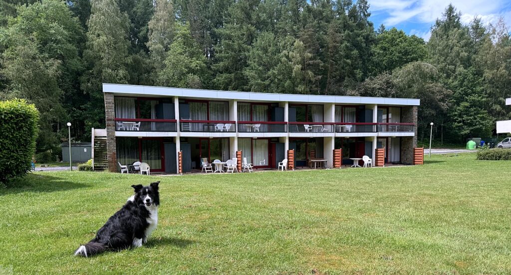 Zwischen Schluchten, Wäldern und historischen Städten: So schön ist die Wallonie 46 Urlaub mit Hund in Belgien Unterkunftstipp