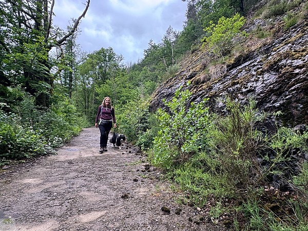 Zwischen Schluchten, Wäldern und historischen Städten: So schön ist die Wallonie 4 Wallonie Wandern Forellenweg Stavelot