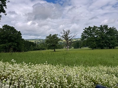 Zwischen Schluchten, Wäldern und historischen Städten: So schön ist die Wallonie 7 Wallonie Wandern Forellenweg Stavelot