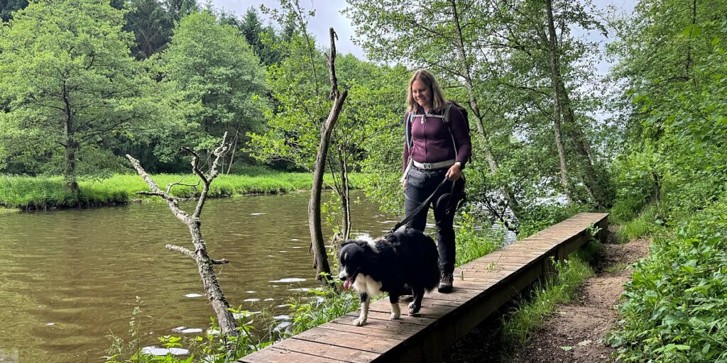 Zwischen Schluchten, Wäldern und historischen Städten: So schön ist die Wallonie 2 Wallonie Wandern Forellenweg Stavelot