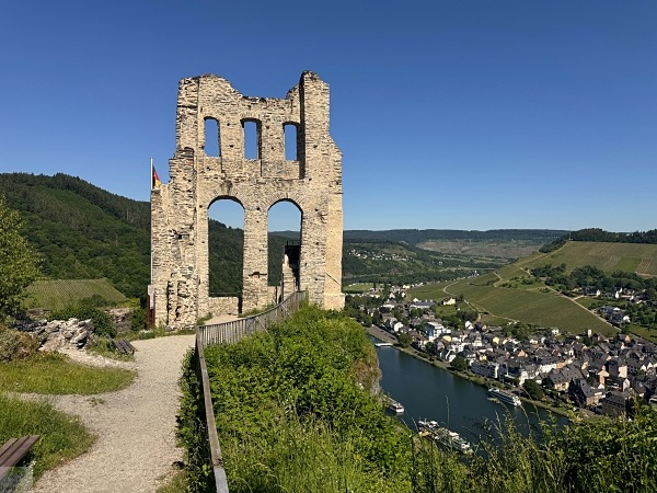 Moselsteig mit Hund: Fünf Wandertage rund um Wolf an der Mosel 14 Grevenburg mit Hund