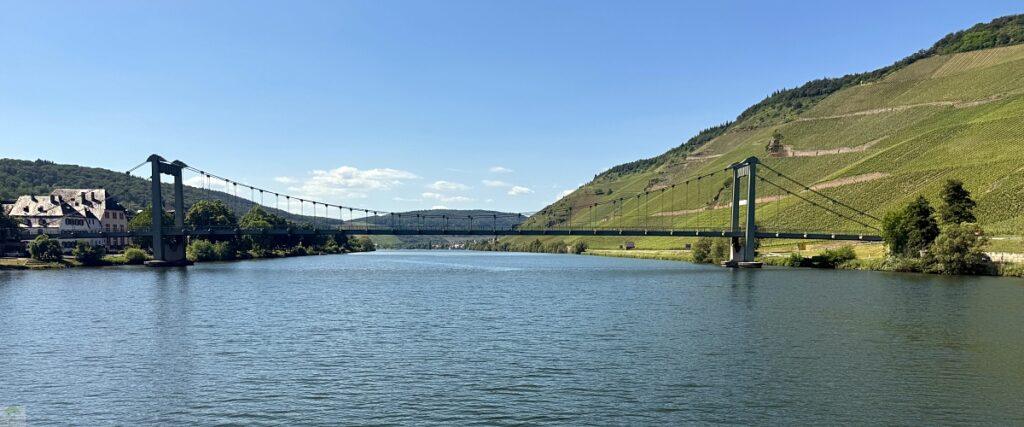 Moselsteig mit Hund: Fünf Wandertage rund um Wolf an der Mosel 48 Hängebrücke Mosel Wehlen