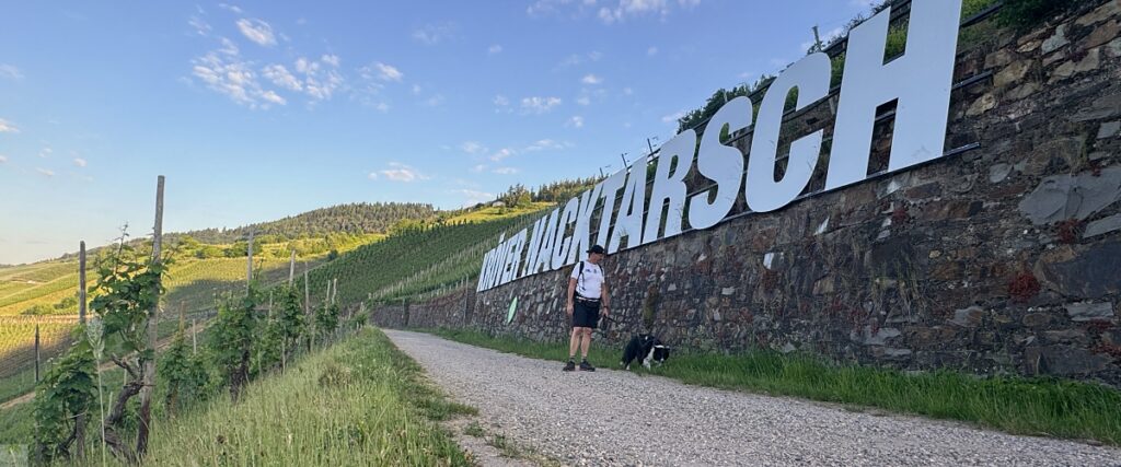 Moselsteig mit Hund: Fünf Wandertage rund um Wolf an der Mosel 25 Kröver Nacktarsch Hollywood Schriftzug Weinberg