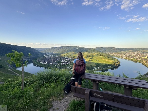 Moselsteig mit Hund: Fünf Wandertage rund um Wolf an der Mosel 27 Moselsteig Etappe 12 mit Hund Moselschleife Steffensberg Wolf