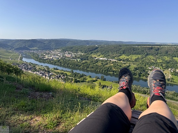Moselsteig mit Hund: Fünf Wandertage rund um Wolf an der Mosel 41 Moselsteig Etappe 11 mit Hund