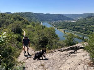 Moselsteig mit Hund