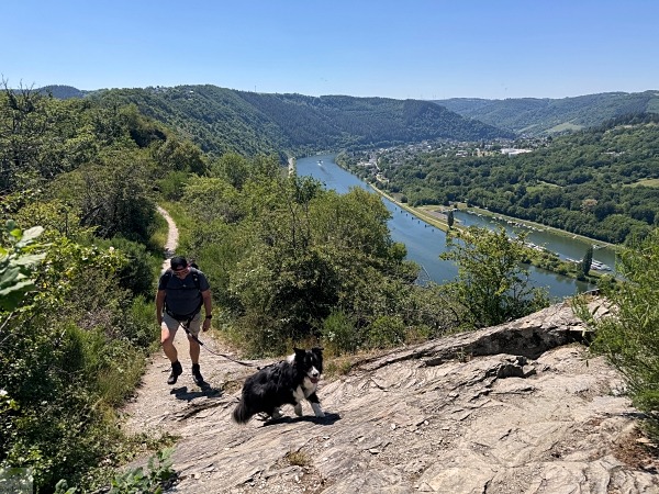 Moselsteig mit Hund: Fünf Wandertage rund um Wolf an der Mosel 19 Moselsteig mit Hund
