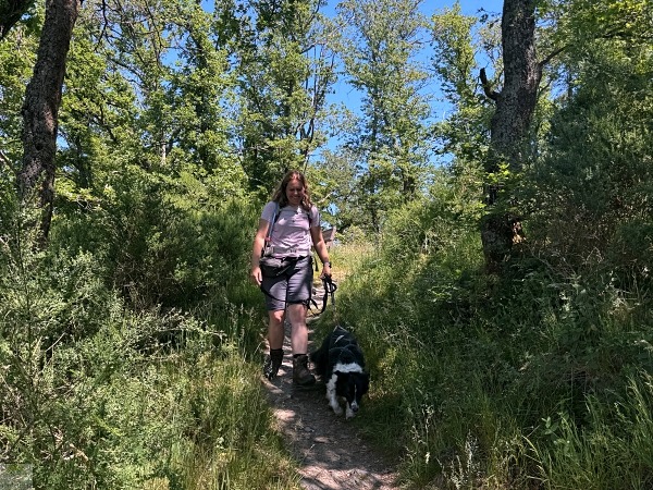 Moselsteig mit Hund: Fünf Wandertage rund um Wolf an der Mosel 20 Moselsteig mit Hund