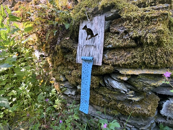 Moselsteig mit Hund: Fünf Wandertage rund um Wolf an der Mosel 18 Moselsteig mit Hund Starkenburg