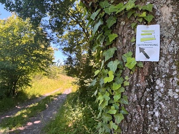 Moselsteig mit Hund: Fünf Wandertage rund um Wolf an der Mosel 3 Moselsteig Seitensprung Kluckertspfad mit Hund