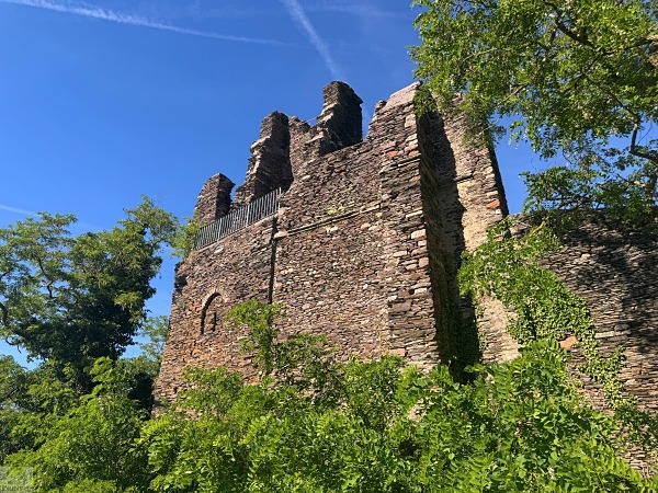 Moselsteig mit Hund: Fünf Wandertage rund um Wolf an der Mosel 9 Moselsteig Seitensprung Kluckertspfad mit Hund