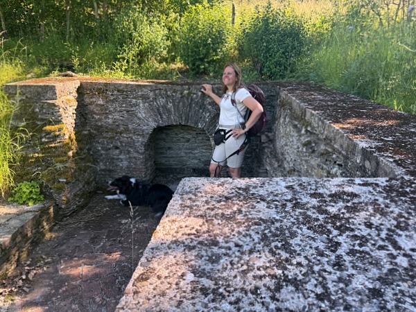 Moselsteig mit Hund: Fünf Wandertage rund um Wolf an der Mosel 10 Moselsteig Seitensprung Kluckertspfad mit Hund