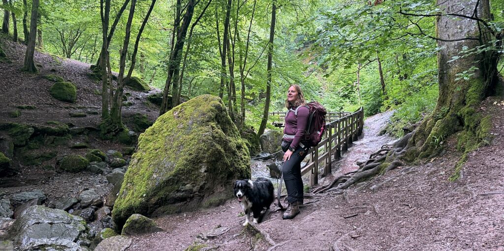 Zwischen Schluchten, Wäldern und historischen Städten: So schön ist die Wallonie 23 Wandern in der Wallonie Ninglinspo Wanderung