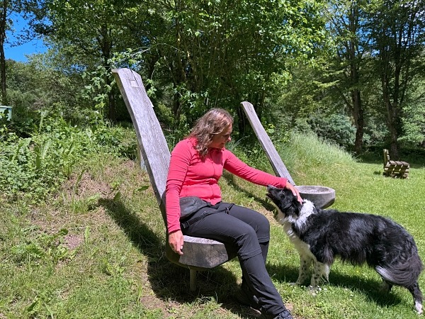 Urlaub mit Hund im Sauerland: 3 Wanderungen und hundefreundliche Unterkünfte 16 Urlaub mit Hund im Sauerland Orketalrundweg