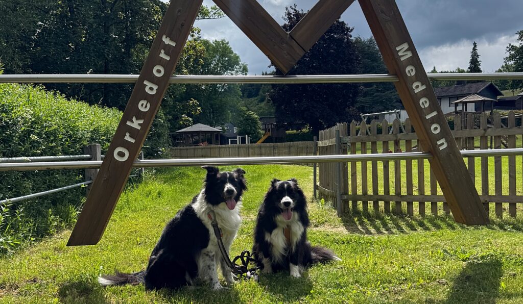 Urlaub mit Hund im Sauerland: 3 Wanderungen und hundefreundliche Unterkünfte 2 Urlaub mit Hund im Sauerland Orketalrundweg