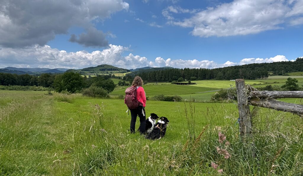 Urlaub mit Hund im Sauerland: 3 Wanderungen und hundefreundliche Unterkünfte 10 Urlaub mit Hund im Sauerland Orketalrundweg
