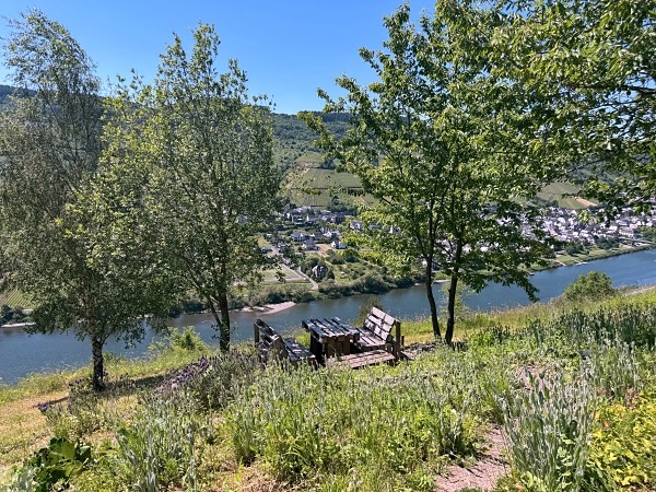 Moselsteig mit Hund: Fünf Wandertage rund um Wolf an der Mosel 22 Moselsteig Etappe 13 mit Hund