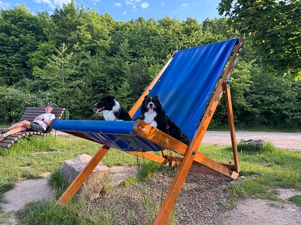 Moselsteig mit Hund: Fünf Wandertage rund um Wolf an der Mosel 29 Riesenliegestuhl Etappe 12 Moselsteig mit Hund