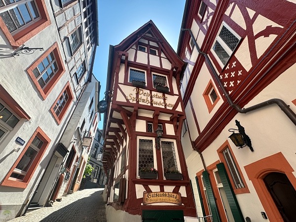 Moselsteig mit Hund: Fünf Wandertage rund um Wolf an der Mosel 44 Bernkastel-Kues Altstadt Moselsteig