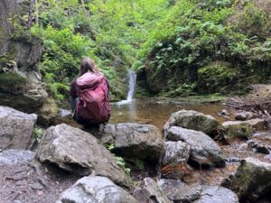 wallonie mit hund wanderungen in der wallonie