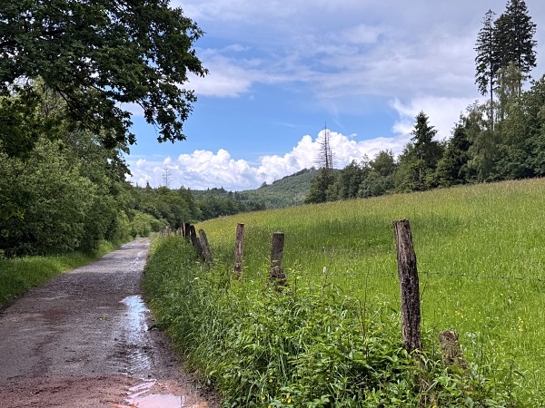 Urlaub mit Hund im Sauerland: 3 Wanderungen und hundefreundliche Unterkünfte 49 wandern mit hund im sauerland urlaub