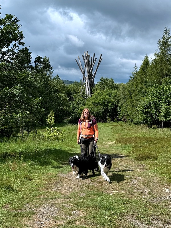 Urlaub mit Hund im Sauerland: 3 Wanderungen und hundefreundliche Unterkünfte 42 Urlaub im Sauerland mit Hund Brilon