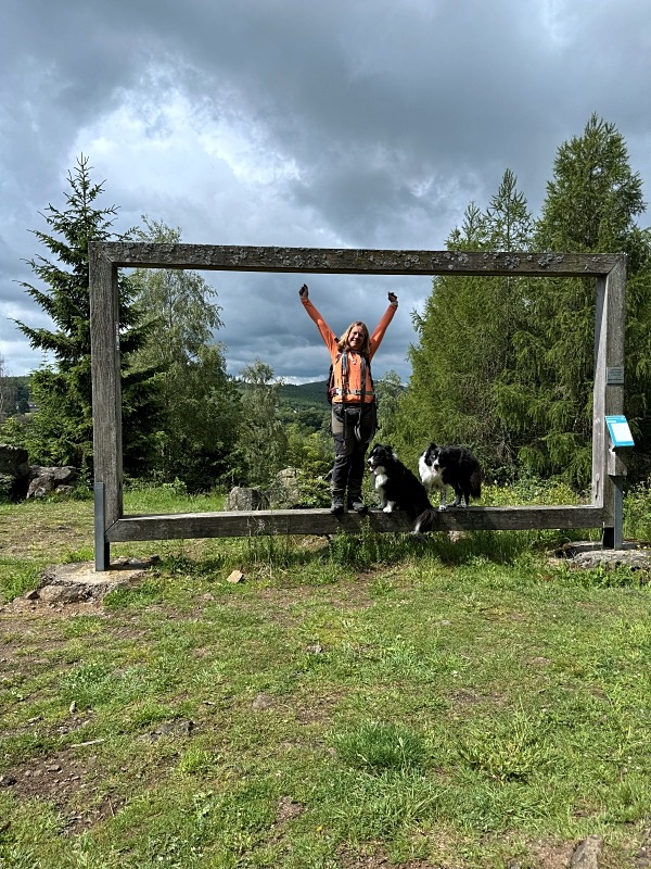 Urlaub mit Hund im Sauerland: 3 Wanderungen und hundefreundliche Unterkünfte 43 Urlaub im Sauerland mit Hund Brilon