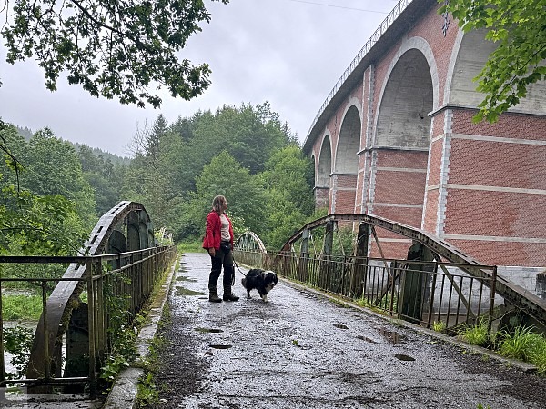 Zwischen Schluchten, Wäldern und historischen Städten: So schön ist die Wallonie 30 wanderungen in der wallonie la gleize
