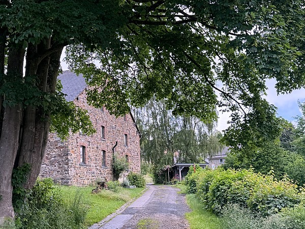Zwischen Schluchten, Wäldern und historischen Städten: So schön ist die Wallonie 31 wanderungen in der wallonie la gleize