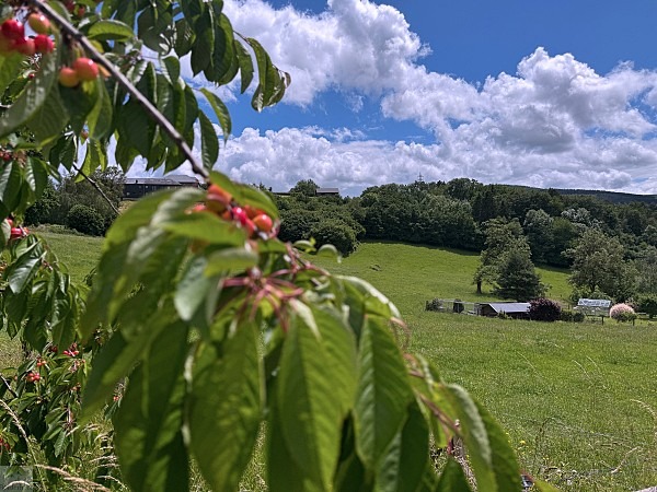 Zwischen Schluchten, Wäldern und historischen Städten: So schön ist die Wallonie 37 wanderungen in der wallonie la gleize
