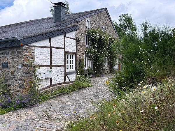 Zwischen Schluchten, Wäldern und historischen Städten: So schön ist die Wallonie 34 wanderungen in der wallonie la gleize