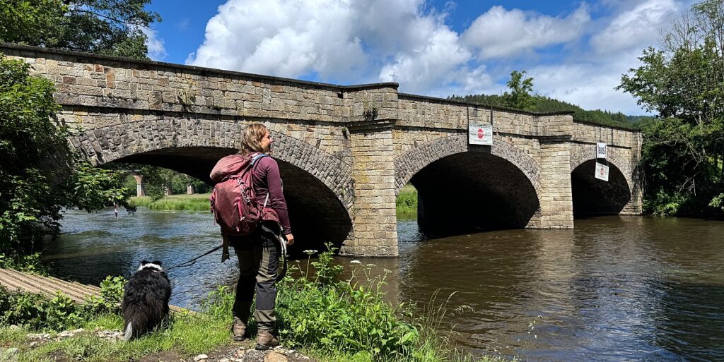 Zwischen Schluchten, Wäldern und historischen Städten: So schön ist die Wallonie 24 wanderungen in der wallonie la gleize