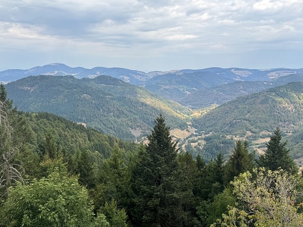 Hochkopfturm Wandern in Todtmoos mit Hund