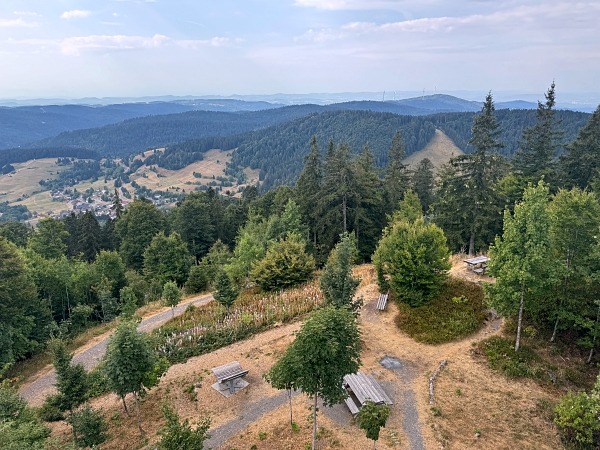 Hochkopfturm Wandern in Todtmoos mit Hund