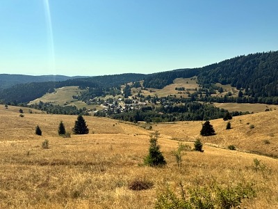 Wandern im Schwarzwald mit Hund