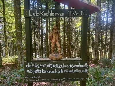 Wandern im Schwarzwald mit Hund