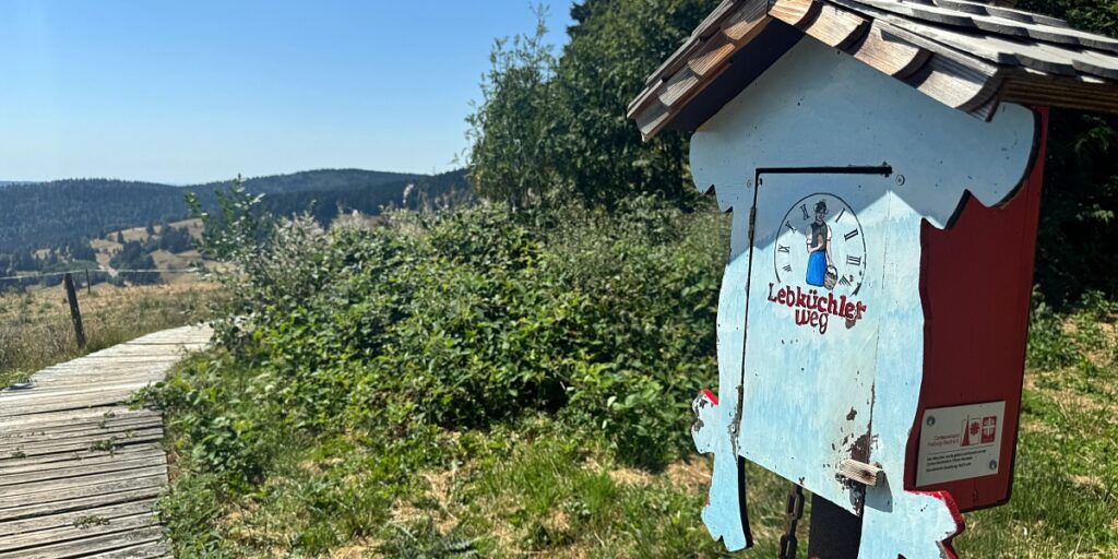 Wandern im Schwarzwald mit Hund