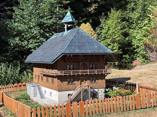Wandern im Schwarzwald mit Hund