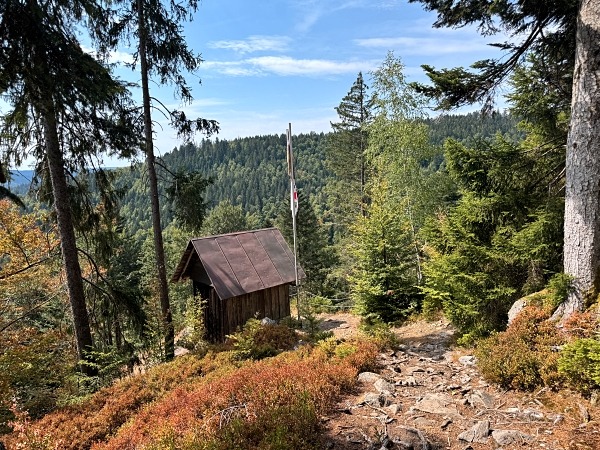 Wandern im Schwarzwald mit Hund