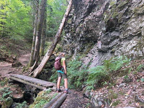 Wandern im Schwarzwald mit Hund